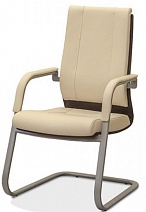 Кресло для посетителей Торино ECO на металлических полозьях 
